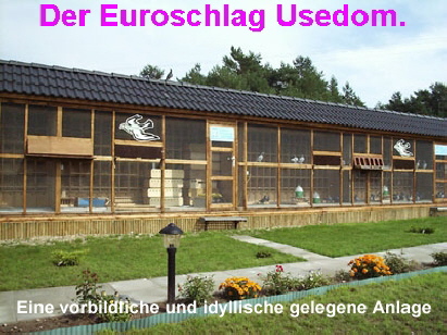 Link zum Ostseeflug Usedom